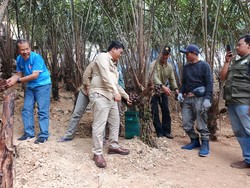 Kementan Gandeng UGM-BRIN Perkuat Hilirisasi Hortikultura untuk Ekspor