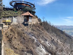 Kondisi Terkini Kafe Bromo Hillside Usai Dikepung Kobaran Karhutla