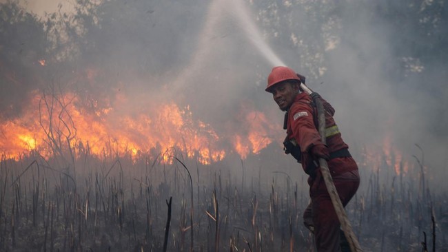 15 Daerah di Sumsel Ditetapkan Jadi Zona Merah Karhutla