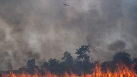 Kabut asap akibat kebakaran hutan menyelimuti 20 kabupaten di Sumut, mengurangi jarak pandang hingga 1-4 km.
