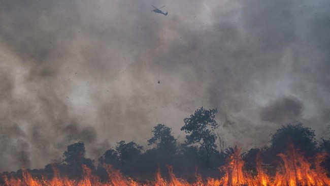 15 Daerah di Sumsel Ditetapkan Jadi Zona Merah Karhutla