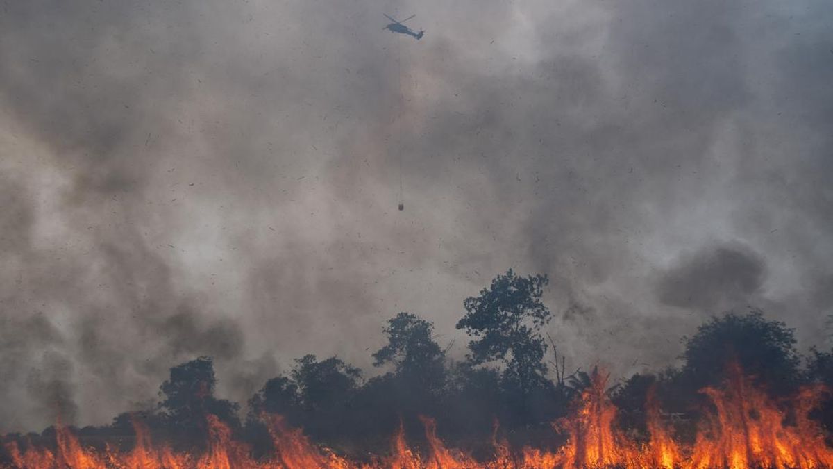 Kabut Asap Selimuti 20 Daerah di Sumut, Jarak Pandang 1 Kilometer
