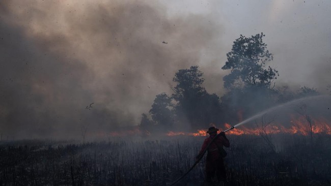 15 Daerah di Sumsel Ditetapkan Jadi Zona Merah Karhutla