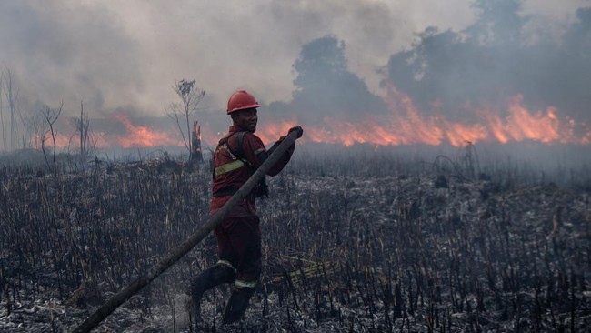 15 Daerah di Sumsel Ditetapkan Jadi Zona Merah Karhutla