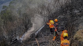 Petugas BPBD Kabupaten Malang melakukan proses pendinginan kebakaran hutan di kawasan Taman Nasional Bromo Tengger Semeru (TNBTS), Kabupaten Malang.