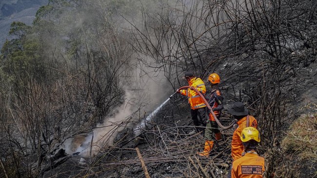 Api Karhutla Bromo Merembet ke Jalan Raya Malang-Lumajang