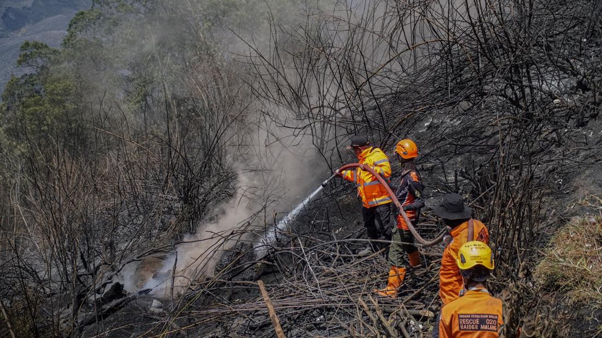 Kemenhut Bekukan 3 Izin Perusahaan di Kaltim Buntut Karhutla