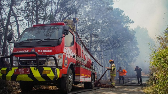 Api Karhutla Bromo Merembet ke Jalan Raya Malang-Lumajang