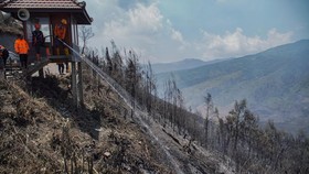Petugas BPBD Kabupaten Malang melakukan proses pendinginan  kebakaran hutan di kawasan Taman Nasional Bromo Tengger Semeru (TNBTS), Kabupaten Malang, Jawa Timur, Minggu (13/9/2026). Dalam penanganan kebakaran tersebut, BB TNBTS dibantu 102 petugas da