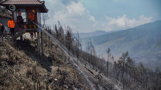 Api Karhutla Bromo Merembet ke Jalan Raya Malang-Lumajang