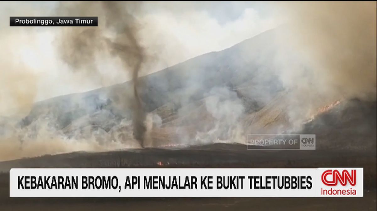 VIDEO: Kebakaran Bromo, Api Menjalar Ke Bukit Teletubbies