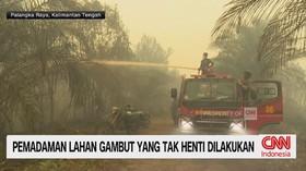 karhutla Kalimantan, kebakaran hutan Kalimantan, titik api Kalimantan, lahan gambut, musim kemarau, pemadaman karhutla, kebakaran lahan, kabut asap,