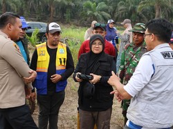 Cek Lokasi Karhutla, Bupati Afni: Jaga Siak Zero Firespot!