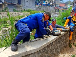 Geger Ular Sanca Batik Jumbo Muncul di Bawah Jembatan Pasar Palabuhanratu