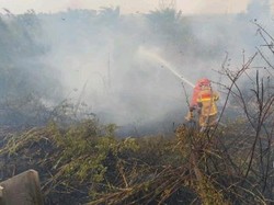 58 Karhutla Terjadi di Sumsel dalam Sehari, Terbanyak di OKI