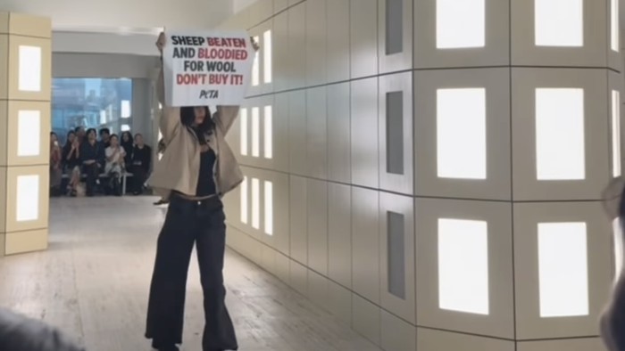 Alasan PETA unjuk rasa di runway COS