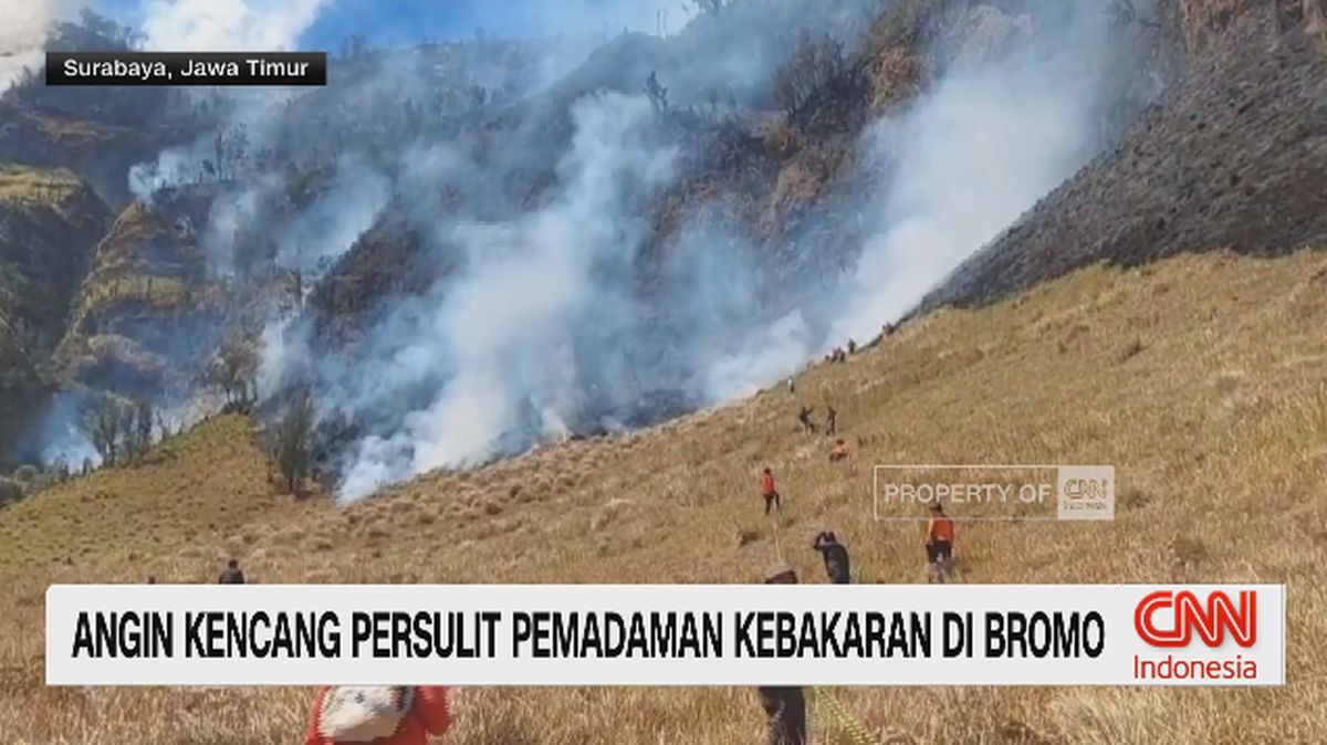 VIDEO: Angin Kencang Persulit Pemadaman Kebakaran di Bromo