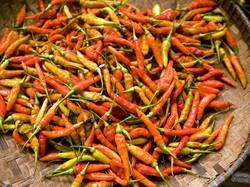 Harga Cabai Rawit Merah Rp 90 Ribu/Kg, Simak Tips Simpan dan Alternatifnya