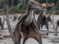 Video: Pertama di Dunia! China Resmi Buka Museum Pterosaurus di Xinjiang