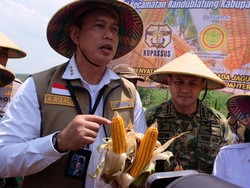 BULOG Siap Salurkan Tambahan 150 Ribu Ton SPHP Jagung hingga Akhir 2026