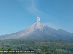 Gunung Semeru Erupsi 3 kali Pagi Ini, Tinggi Letusan Capai 1.000 Meter