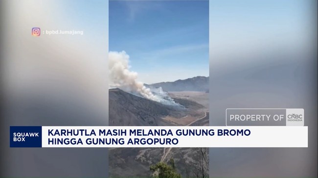 Video: Karhutla Masih Melanda Gunung Bromo hingga Gunung Argopuro