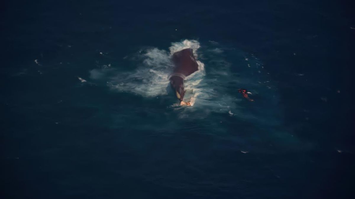 Pakar Ungkap Anomali Navigasi KM Virgo 8 Sebelum Terbalik di Laut Jawa