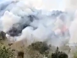 Lereng Perbukitan Junjung Tulungagung Terbakar Hebat
