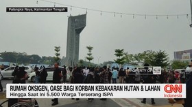 Masyarakat dan Orang Utan Korban Kebakaran Hutan & Lahan