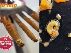 Bikin Mual! Pengunjung Temukan Banyak Larva di Butter Chicken