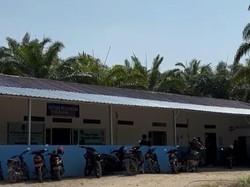 Penampakan SPPG di Kebun Sawit Sulbar Di-suspend Buntut Temuan Kaki Seribu