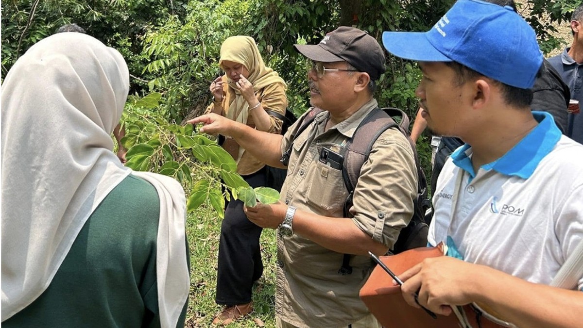 Pentingnya Pengetahuan Identifikasi Tumbuhan Staf Konservasi Tumbuhan
