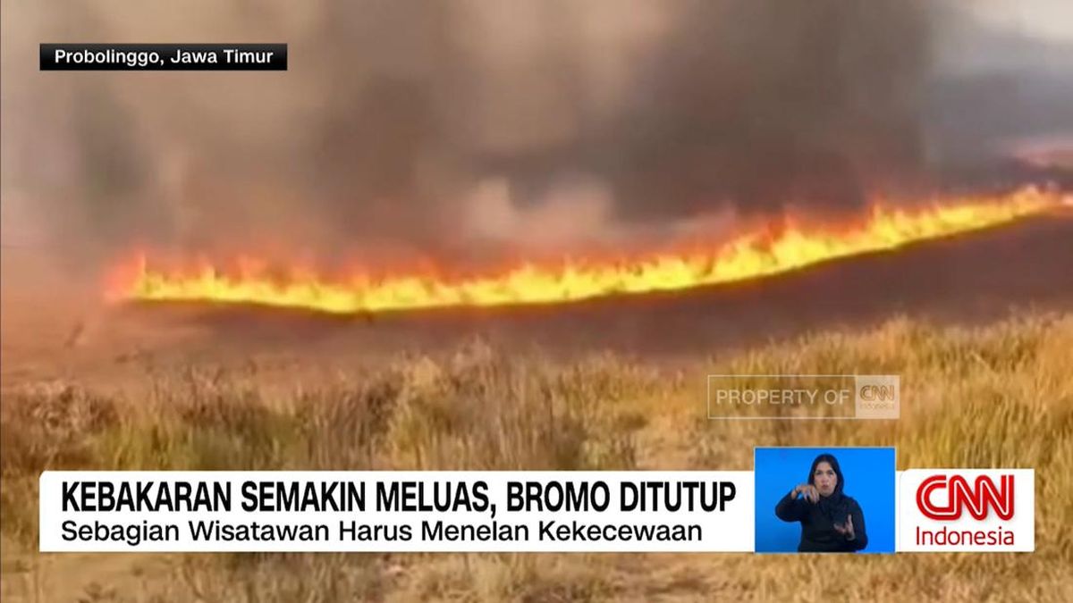 VIDEO: Kebakaran Semakin Meluas, Bromo Ditutup