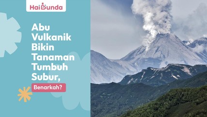 Detik Network