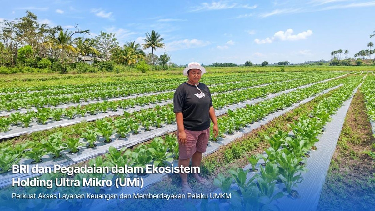 Holding Ultra Mikro Bawa Mur Dwi Astuti Sukses Jadi Petani di Merauke