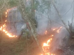 Hutan Gunung Andong Magelang Kembali Terbakar