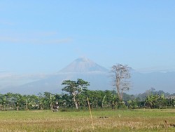 Gunung Semeru Meletus 30 Kali Disertai Dentuman dalam 6 Jam