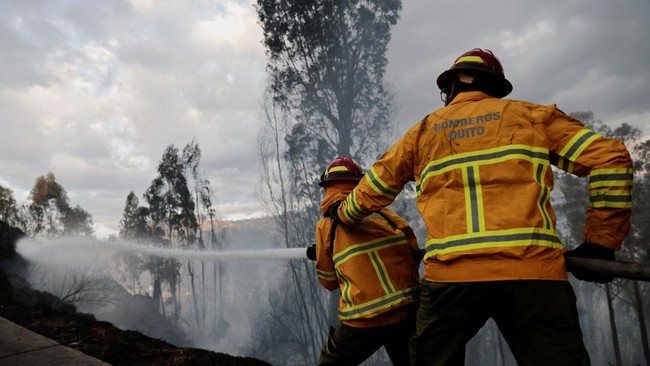 Firefighters work during wildfires near residential neighborhoods in Quito, Ecuador, September 13, 2026. REUTERS/Karen Toro