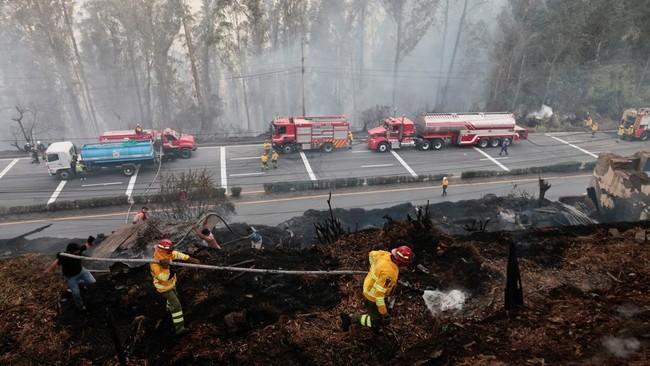 Firefighters work during wildfires near residential neighbourhoods in Quito, Ecuador, September 13, 2026. REUTERS/Karen Toro