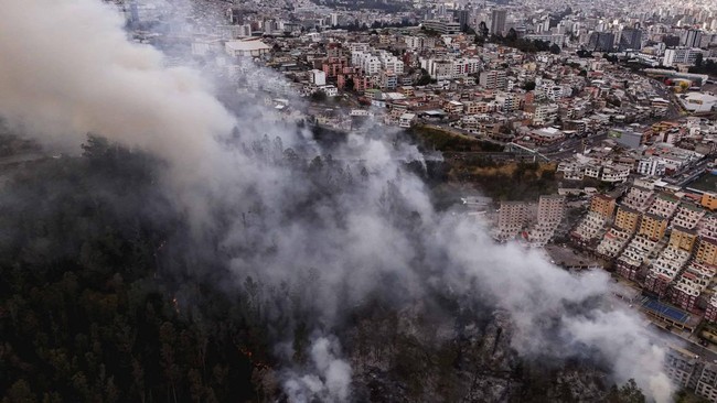 A drone view shows smoke rising from a hillside during wildfires near residential neighbourhoods in Quito, Ecuador, September 13, 2026. REUTERS/Karen Toro