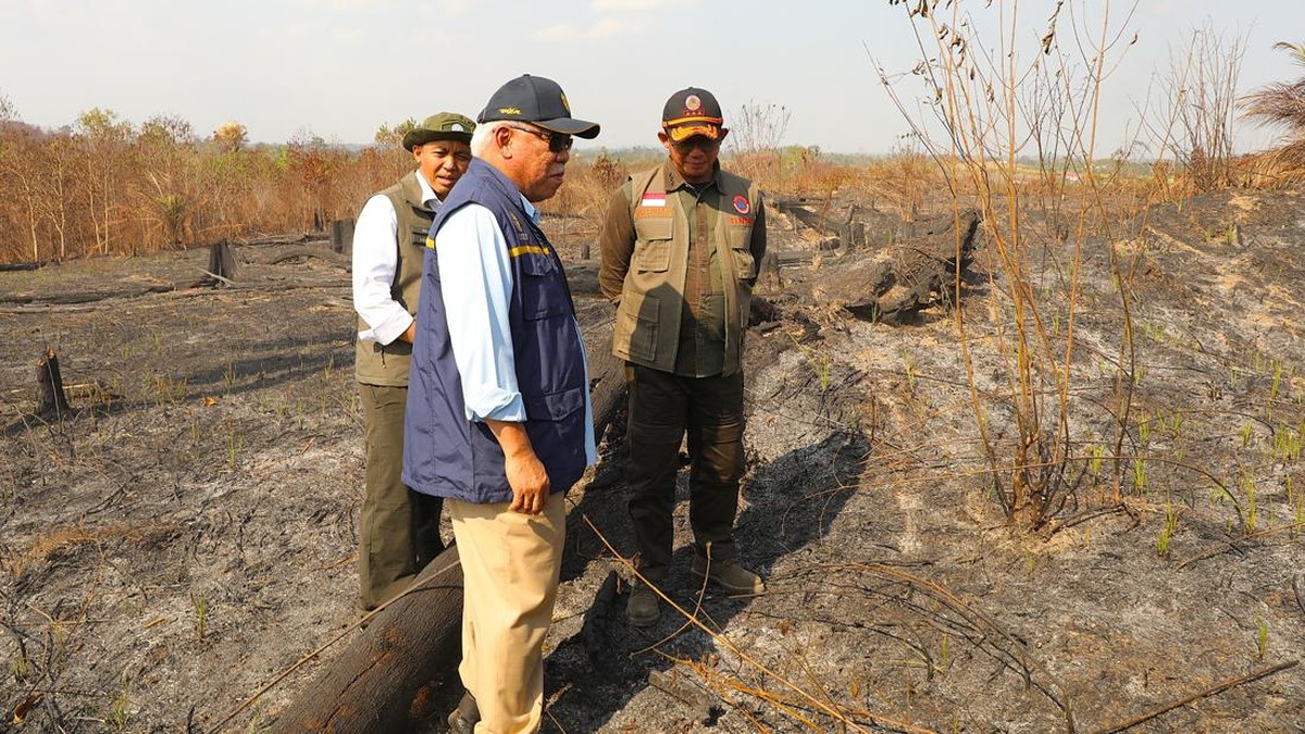IKN Siaga 1! Api Kebakaran di 319 Hektare Lahan Belum Padam