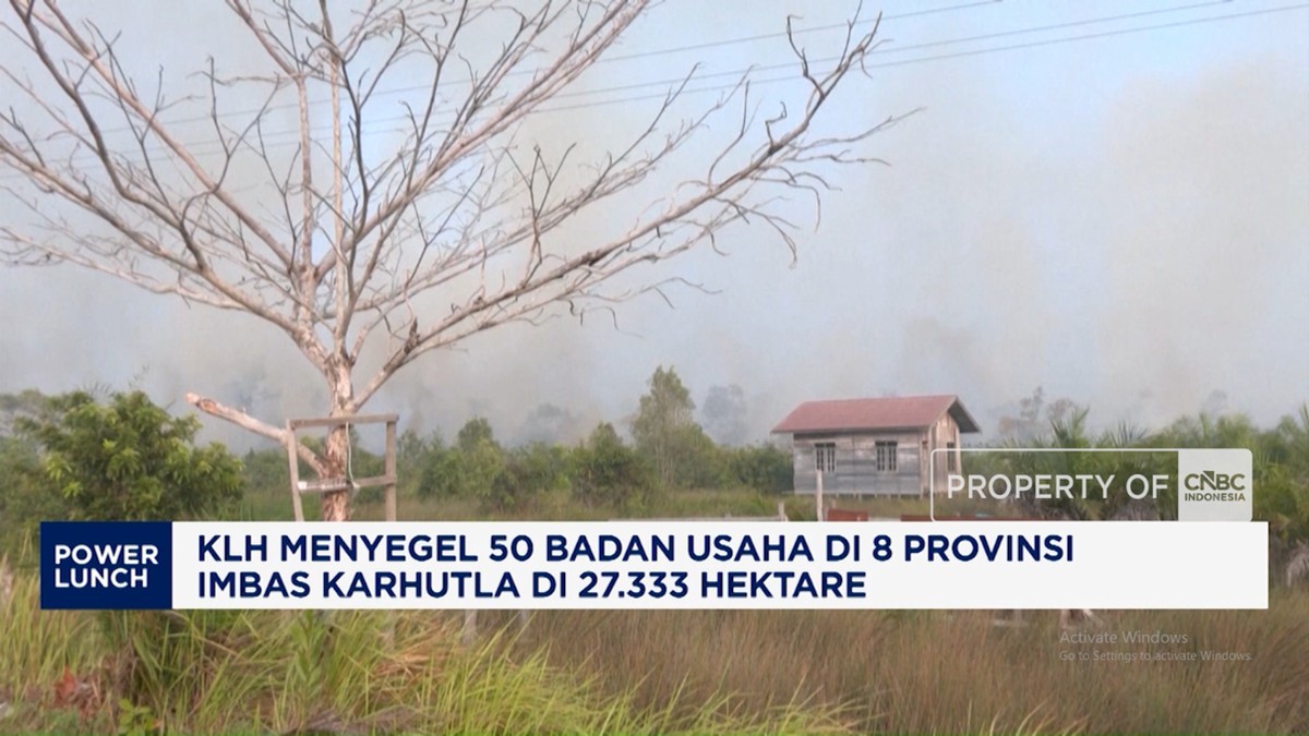 KLH Menyegel 50 Badan Usaha di 8 Provinsi Imbas Karhutla di 27.333 Ha