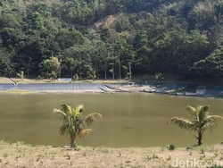 Krisis Air dan Setan Merah Ancam Kelestarian Situ Padabeunghar Kuningan