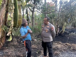 Lansia di Pinrang Tewas Saat Kebun Kebakaran Punya Riwayat Asma