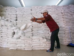 Bantuan Pangan Presiden di Kalteng Baru 60%, Bulog Kejar Target Penyaluran