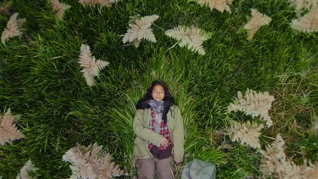 Film Empat Musim Pertiwi atau Four Seasons in Java (2026).
