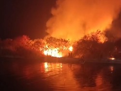 Kebakaran Lahan Kosong Dekat Mall 23 Semarang, Api Berkobar Hebat