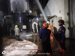 Pipa Oli Mesin Oven Bocor Picu Kebakaran Pabrik Kayu Jokowi