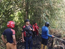 57 Kejadian Karhutla di Lubuklinggau, Kekurangan Armada Jadi Kendala