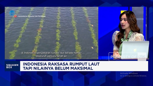 RI Raksasa Rumput Laut Tapi Masih Diekspor Mentah, Hilirisasi Mendesak